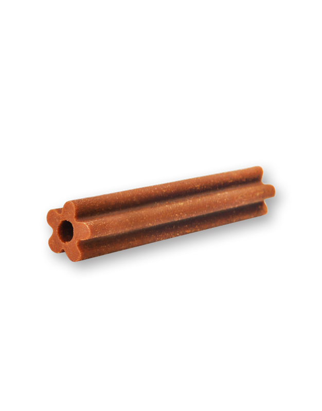 Grain Free Dental Stix Dog Snacks