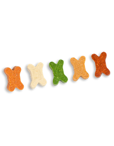 Mini Bone Dog Treats